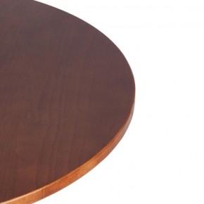 Стол обеденный Thonet (mod.T9108) в Ижевске - izhevsk.mebel24.online | фото 4