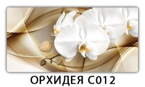 Стол раздвижной Трилогия с фотопечатью Орхидея R041 в Ижевске - izhevsk.mebel24.online | фото 13