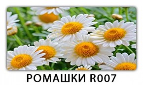 Стол раздвижной Трилогия с фотопечатью Орхидея R041 в Ижевске - izhevsk.mebel24.online | фото 15