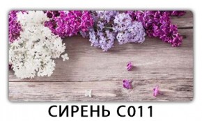 Стол раздвижной Трилогия с фотопечатью Орхидея R041 в Ижевске - izhevsk.mebel24.online | фото 16