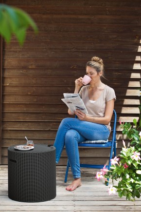 Столик-холодильник Кул-Стул (Cool stool) коричневый в Ижевске - izhevsk.mebel24.online | фото 2