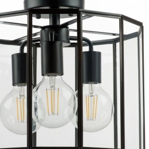 Светильник на штанге Lightstar Genni 798237 в Ижевске - izhevsk.mebel24.online | фото 4