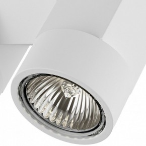 Светильник на штанге Lightstar Illumo X2 051036 в Ижевске - izhevsk.mebel24.online | фото 2