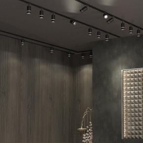 Светильник на штанге Novotech Elina 370777 в Ижевске - izhevsk.mebel24.online | фото 4
