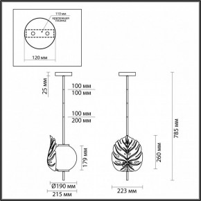 Светильник на штанге Odeon Light Jungle 4865/1 в Ижевске - izhevsk.mebel24.online | фото 3