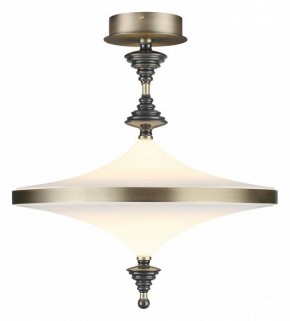 Светильник на штанге Odeon Light Ula 5404/43CL в Ижевске - izhevsk.mebel24.online | фото 2