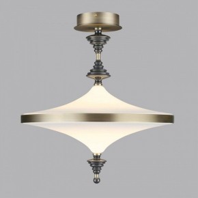 Светильник на штанге Odeon Light Ula 5404/43CL в Ижевске - izhevsk.mebel24.online | фото 3