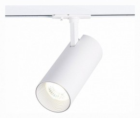 Светильник на штанге ST-Luce Mono ST350.536.30.36 в Ижевске - izhevsk.mebel24.online | фото 2