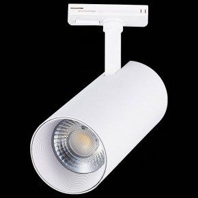 Светильник на штанге ST-Luce Mono ST350.536.30.36 в Ижевске - izhevsk.mebel24.online | фото 6