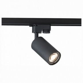 Светильник на штанге ST-Luce Solt ST300.406.01 в Ижевске - izhevsk.mebel24.online | фото 1
