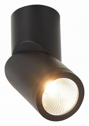 Светильник на штанге ST-Luce ST650 ST650.442.10 в Ижевске - izhevsk.mebel24.online | фото 2