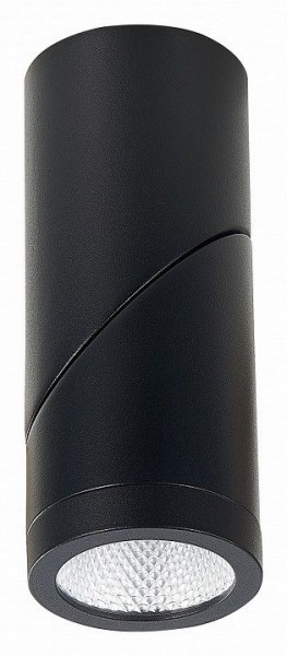 Светильник на штанге ST-Luce ST650 ST650.442.10 в Ижевске - izhevsk.mebel24.online | фото 4