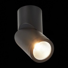 Светильник на штанге ST-Luce ST650 ST650.442.10 в Ижевске - izhevsk.mebel24.online | фото 5