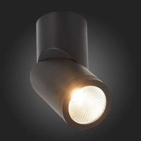 Светильник на штанге ST-Luce ST650 ST650.442.10 в Ижевске - izhevsk.mebel24.online | фото 6