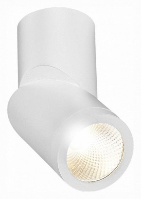 Светильник на штанге ST-Luce ST650 ST650.532.10 в Ижевске - izhevsk.mebel24.online | фото 3