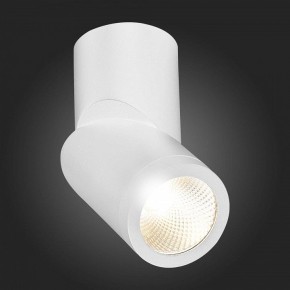 Светильник на штанге ST-Luce ST650 ST650.532.10 в Ижевске - izhevsk.mebel24.online | фото 6