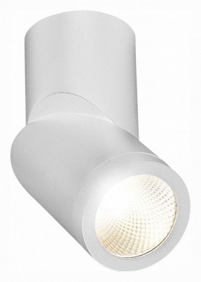 Светильник на штанге ST-Luce ST650 ST650.542.10 в Ижевске - izhevsk.mebel24.online | фото 3