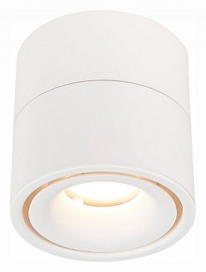 Светильник на штанге ST-Luce ST652 ST652.532.12 в Ижевске - izhevsk.mebel24.online | фото 2