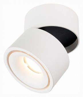 Светильник на штанге ST-Luce ST652 ST652.532.12 в Ижевске - izhevsk.mebel24.online | фото 3