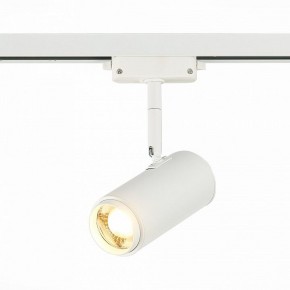 Светильник на штанге ST-Luce Zoom ST600.536.12 в Ижевске - izhevsk.mebel24.online | фото 2