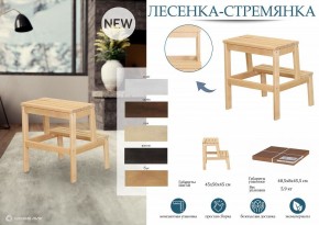 Табурет Стремянка в Ижевске - izhevsk.mebel24.online | фото 6