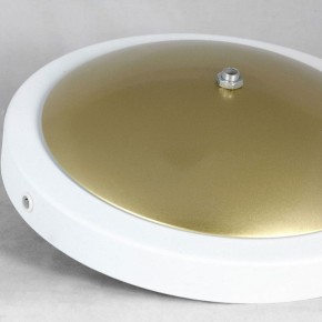 Торшер Lussole LSP-062 LSP-0625 в Ижевске - izhevsk.mebel24.online | фото 2