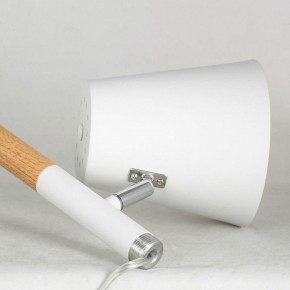 Торшер Lussole Buckeye LSP-0628 в Ижевске - izhevsk.mebel24.online | фото 4