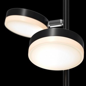 Торшер Maytoni Fad MOD070FL-L12B3K в Ижевске - izhevsk.mebel24.online | фото