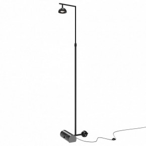 Торшер Maytoni Pikant MOD372FL-L10B3K в Ижевске - izhevsk.mebel24.online | фото