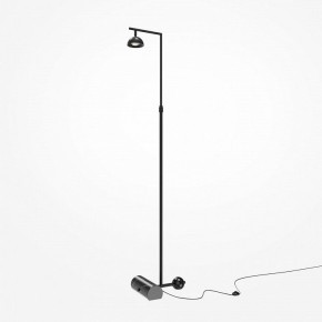 Торшер Maytoni Pikant MOD372FL-L10B3K в Ижевске - izhevsk.mebel24.online | фото 2