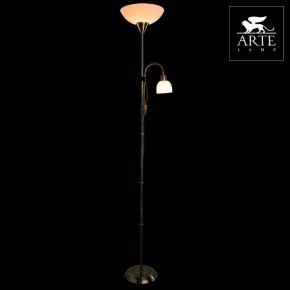 Торшер с подсветкой Arte Lamp Duetto A9569PN-2AB в Ижевске - izhevsk.mebel24.online | фото 3