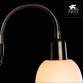 Торшер с подсветкой Arte Lamp Duetto A9569PN-2AB в Ижевске - izhevsk.mebel24.online | фото 4