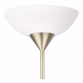 Торшер с подсветкой Arte Lamp Duetto A9569PN-2AB в Ижевске - izhevsk.mebel24.online | фото 5