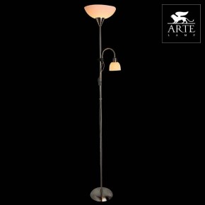 Торшер с подсветкой Arte Lamp Duetto A9569PN-2SS в Ижевске - izhevsk.mebel24.online | фото 3