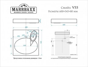 Умывальник над стиральной машиной (600*545*80) Смайл V55D1 (белый) с кронштейном без сифона (V55D1) в Ижевске - izhevsk.mebel24.online | фото 2